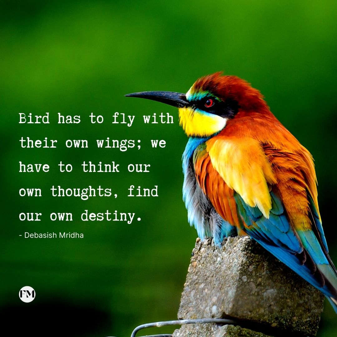 The best bird quotes will be useful for you to use as your inspiration.