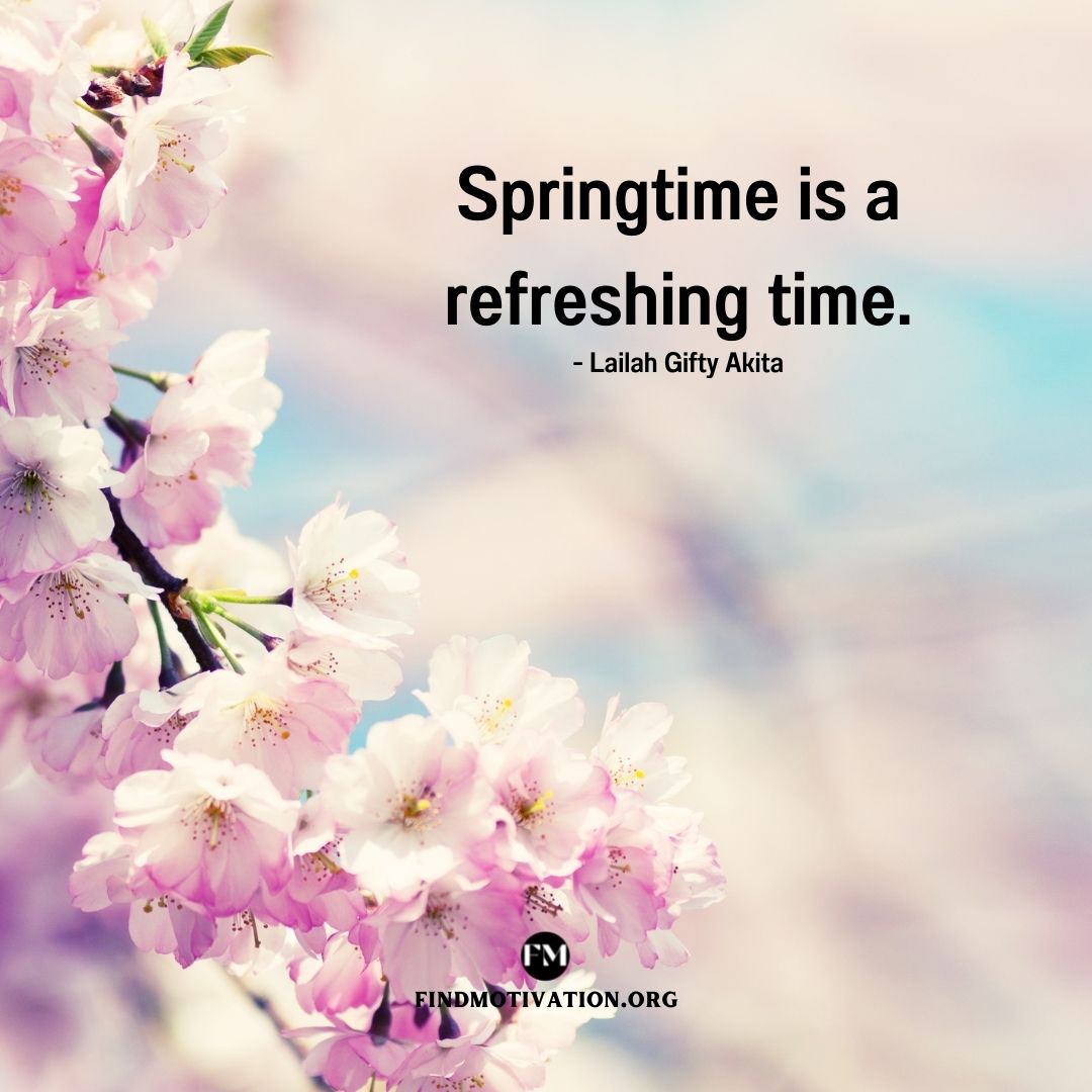 Springtime is a refreshing time.