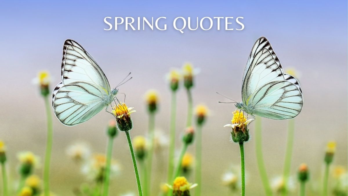 Best Inspirational Spring Quotes