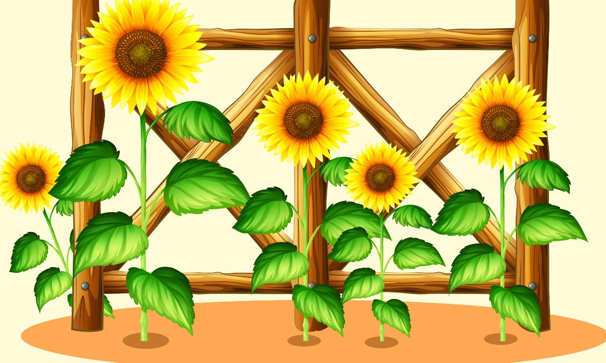 Best Inspirational Sunflower Quotes