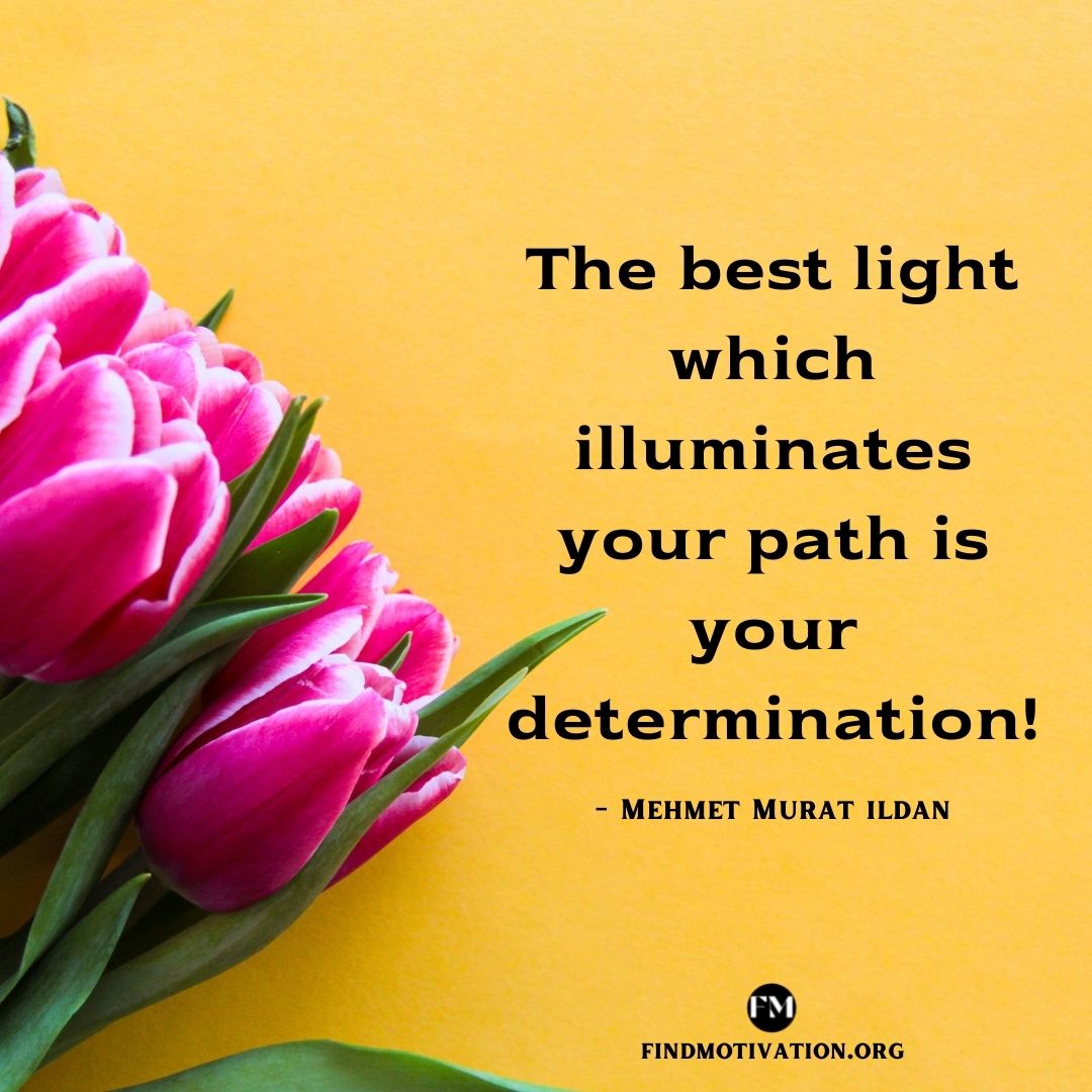 The best light which illuminates your path is your determination!