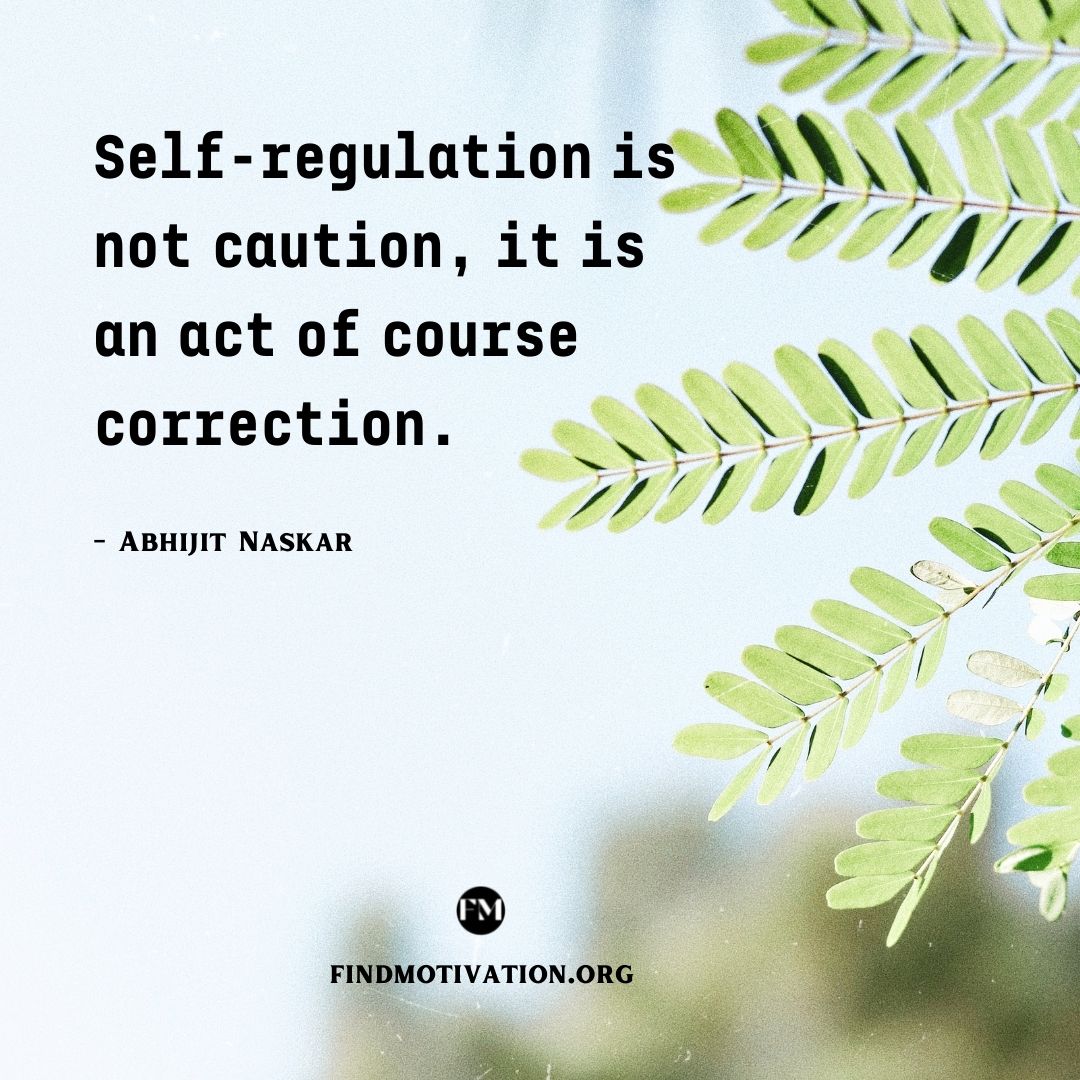 Self-regulation is not caution, it is an act of course correction.