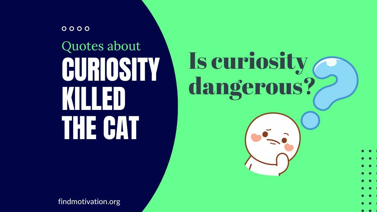 20 Curiosity Killed the Cat Quotes To Know The Power of Curiosity