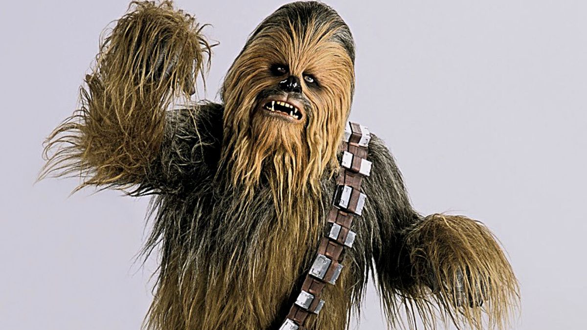 Funny Chewbacca Jokes For Kids
