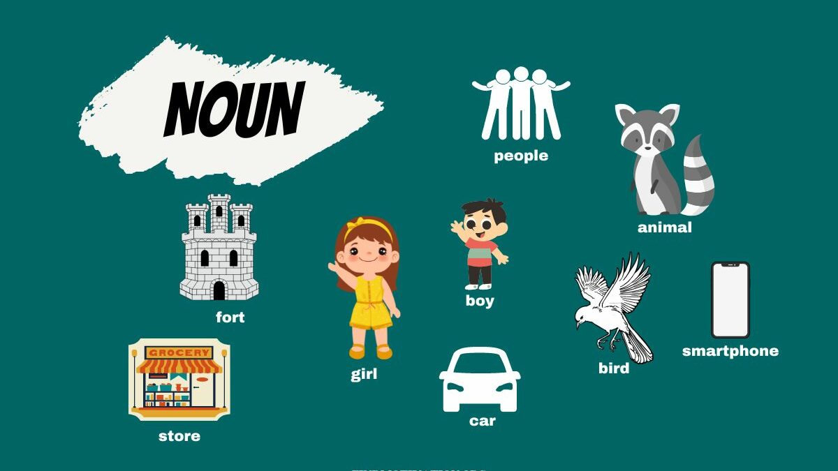 What is a Noun? Various Types of Nouns