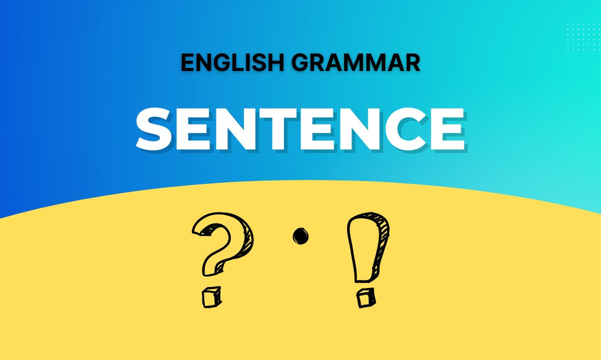What is sentence is English Grammar and its types