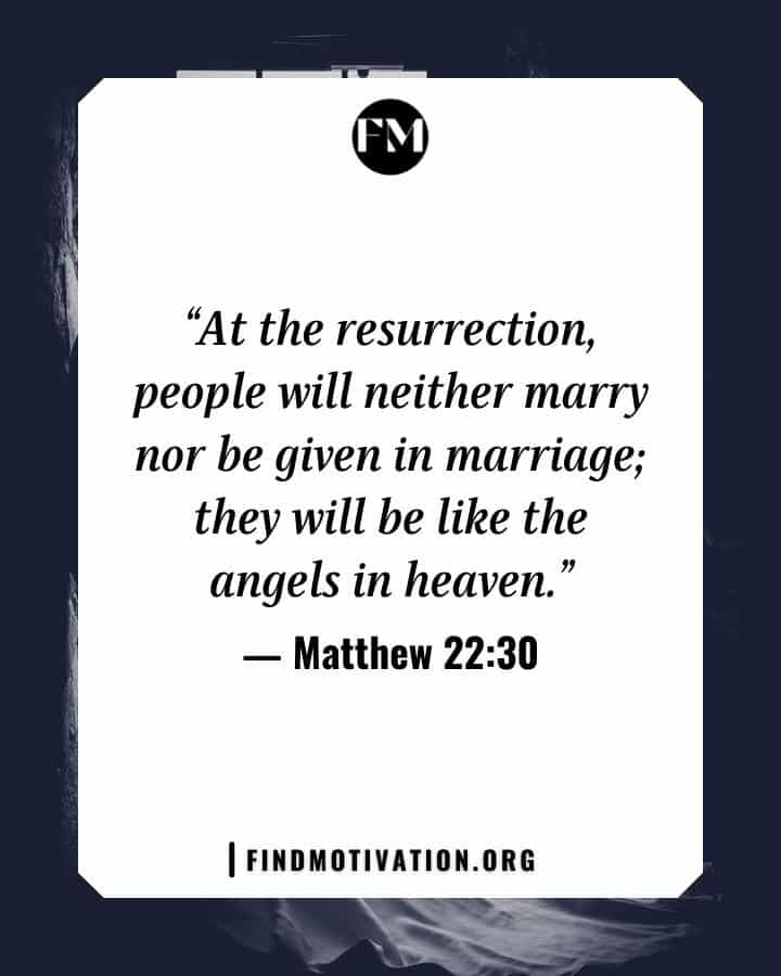Bible verses about marriage or wedding to live a happy life