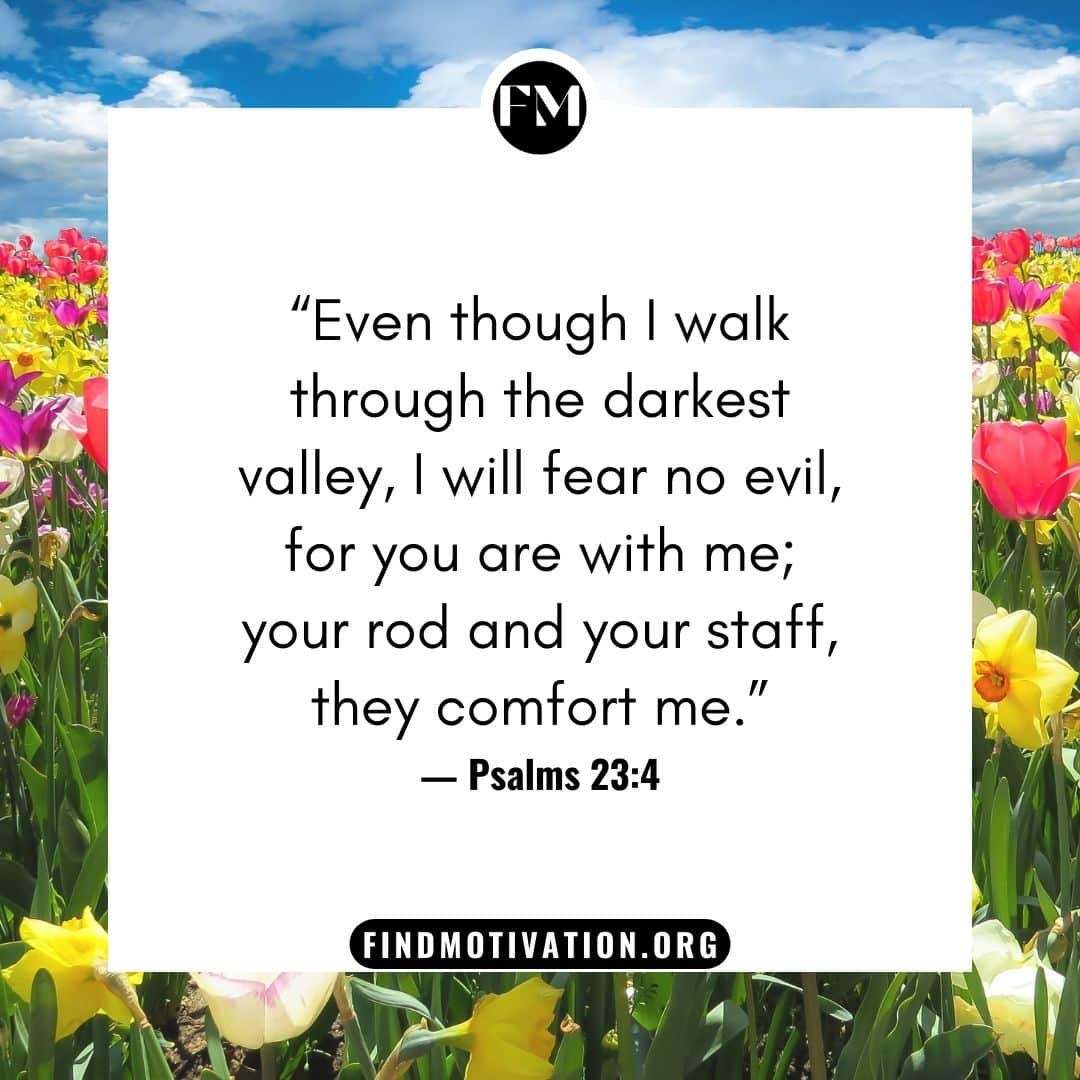 Bible verses on comfort will encourage you to accept yourself as you are to feel comfortable in any situation