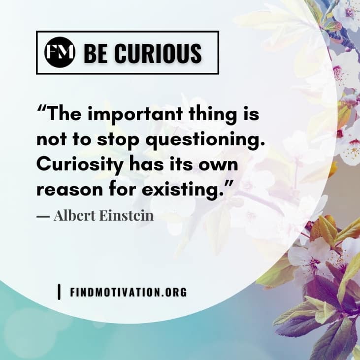 The best inspiring quotes about curiosity to gain more knowledge in your life