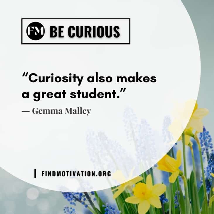 The best inspiring quotes about curiosity to gain more knowledge in your life