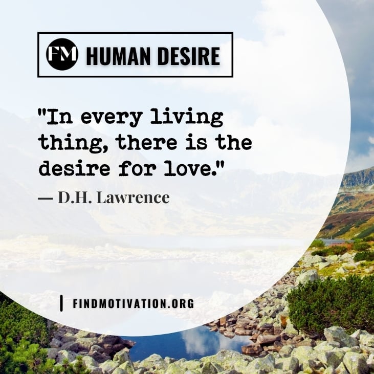 Inspiring quotes about desire to get what you want
