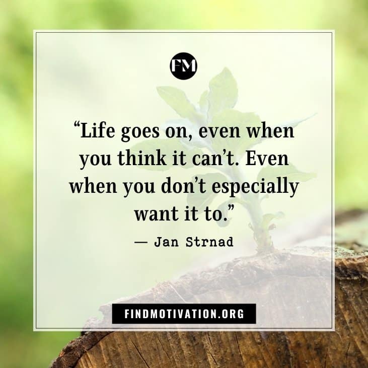 Inspirational quotes about life goes to face the difficulties and move on in your life