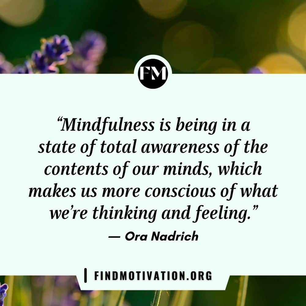 Mindfulness inspiring quotes to focus on your present