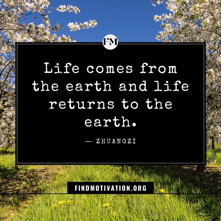 The best inspiring truth of life quotes to know more about the reality of life